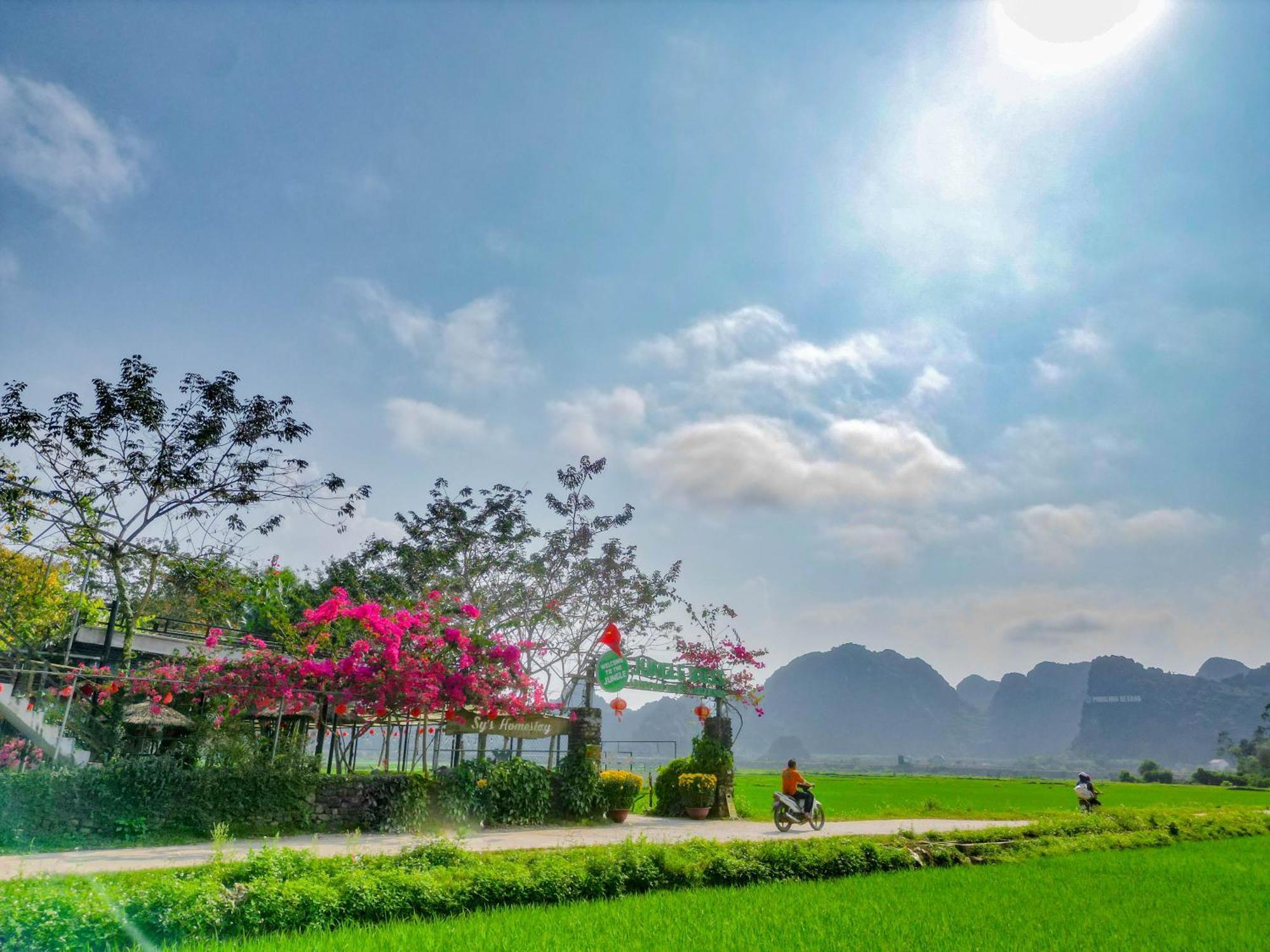 Jungle Boss Travel Lodge Phong Nha Exterior foto